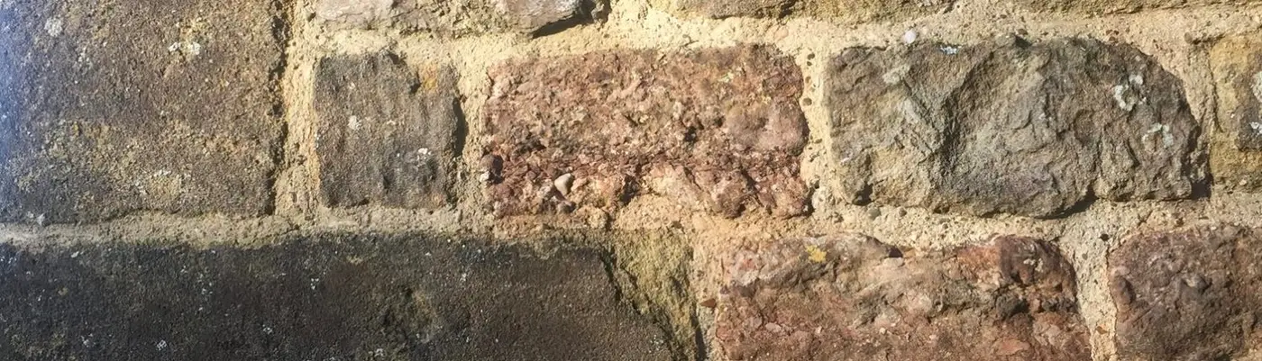 conservation_pointing conservation_pointing