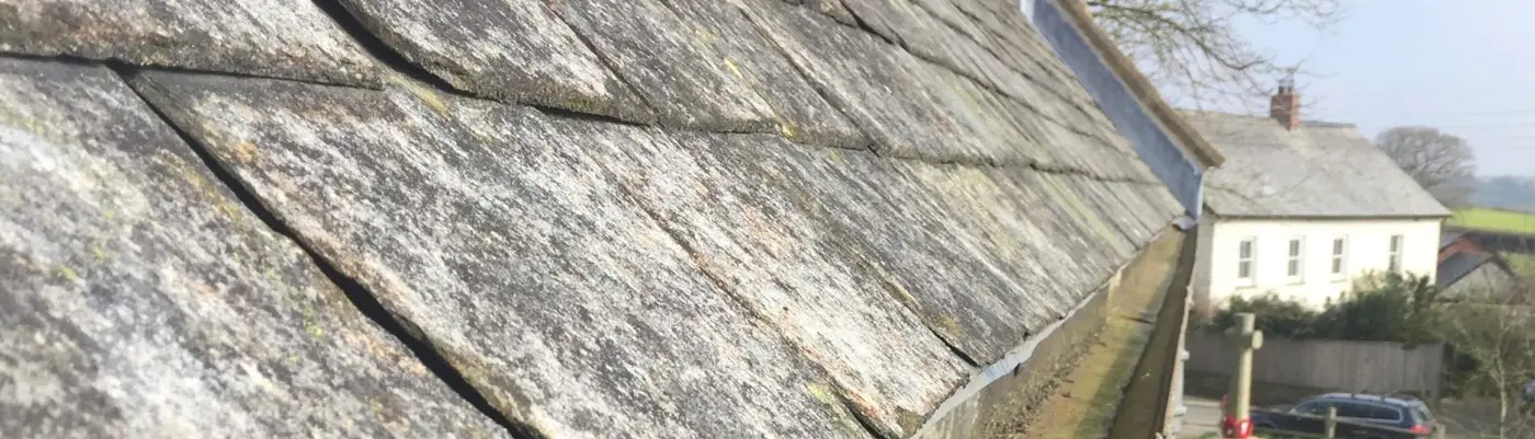 Lapford Chancel Roof after Maintenance Conservation Roofing - Lapford Chancel Roof after Maintenance