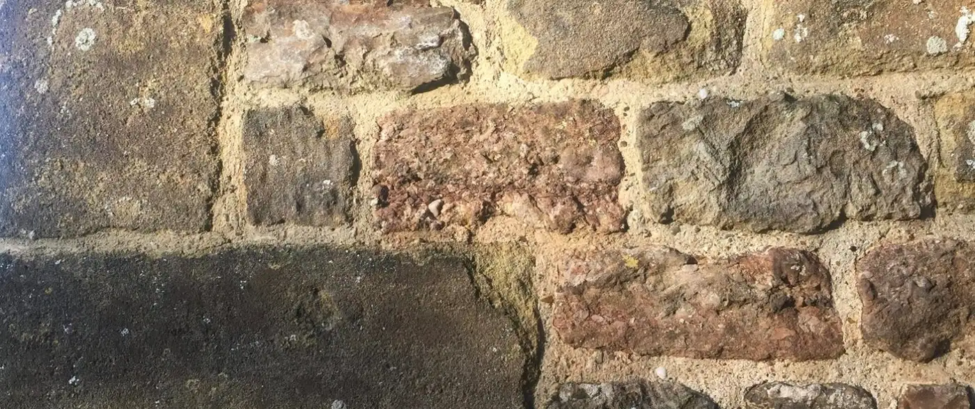 conservation_pointing conservation_pointing